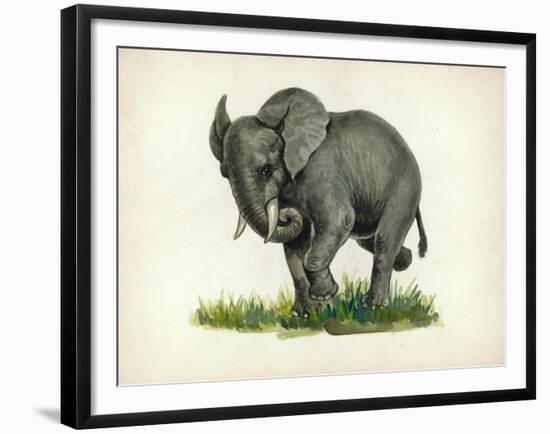 Elephant-null-Framed Giclee Print