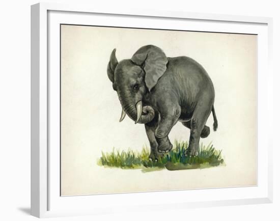 Elephant-null-Framed Giclee Print