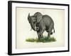 Elephant-null-Framed Giclee Print