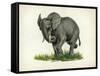 Elephant-null-Framed Stretched Canvas