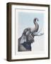 Elephant-null-Framed Giclee Print