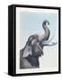 Elephant-null-Framed Stretched Canvas