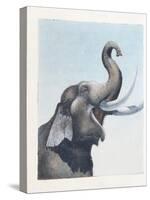 Elephant-null-Stretched Canvas