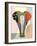 Elephantidae-Adefioye Lanre-Framed Giclee Print