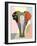 Elephantidae-Adefioye Lanre-Framed Giclee Print