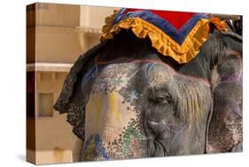 Elephants. Amber Fort. Jaipur. Rajasthan. India-Tom Norring-Stretched Canvas