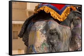 Elephants. Amber Fort. Jaipur. Rajasthan. India-Tom Norring-Framed Stretched Canvas