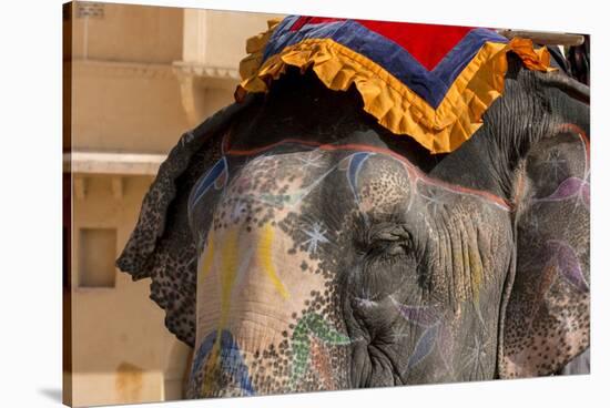 Elephants. Amber Fort. Jaipur. Rajasthan. India-Tom Norring-Stretched Canvas