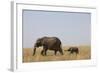 Elephants and Calf in Savanna-Paul Souders-Framed Photographic Print