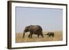 Elephants and Calf in Savanna-Paul Souders-Framed Photographic Print