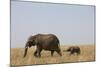 Elephants and Calf in Savanna-Paul Souders-Mounted Photographic Print