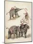 Elephants and Flamingoes-Richard Andre-Mounted Giclee Print