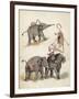 Elephants and Flamingoes-Richard Andre-Framed Giclee Print