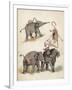 Elephants and Flamingoes-Richard Andre-Framed Giclee Print