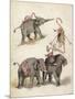 Elephants and Flamingoes-Richard Andre-Mounted Giclee Print