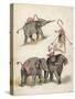 Elephants and Flamingoes-Richard Andre-Stretched Canvas