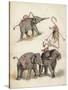 Elephants and Flamingoes-Richard Andre-Stretched Canvas