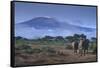 Elephants and Mountain-DLILLC-Framed Stretched Canvas