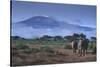 Elephants and Mountain-DLILLC-Stretched Canvas