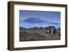 Elephants and Mountain-DLILLC-Framed Photographic Print