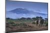 Elephants and Mountain-DLILLC-Mounted Photographic Print