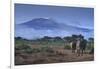 Elephants and Mountain-DLILLC-Framed Photographic Print