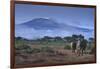 Elephants and Mountain-DLILLC-Framed Photographic Print