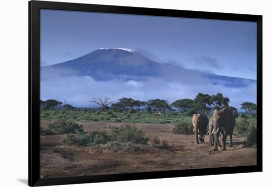 Elephants and Mountain-DLILLC-Framed Photographic Print