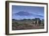 Elephants and Mountain-DLILLC-Framed Photographic Print