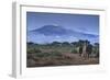 Elephants and Mountain-DLILLC-Framed Photographic Print