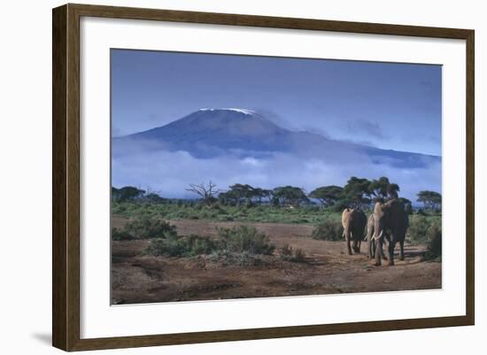 Elephants and Mountain-DLILLC-Framed Photographic Print