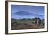 Elephants and Mountain-DLILLC-Framed Photographic Print