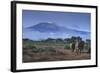 Elephants and Mountain-DLILLC-Framed Photographic Print