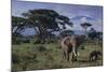 Elephants and Mountain-DLILLC-Mounted Photographic Print