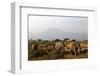 Elephants and Mt Kilimanjaro, Amboseli, Kenya, Africa-Kymri Wilt-Framed Photographic Print