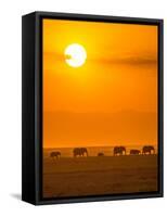 Elephants at Sunset-Ted Taylor-Framed Stretched Canvas