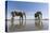 Elephants at Water Hole, Botswana-Paul Souders-Stretched Canvas