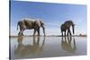 Elephants at Water Hole, Botswana-Paul Souders-Stretched Canvas