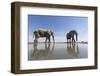 Elephants at Water Hole, Botswana-Paul Souders-Framed Photographic Print