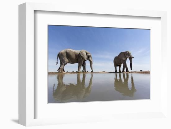 Elephants at Water Hole, Botswana-Paul Souders-Framed Photographic Print