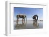 Elephants at Water Hole, Botswana-Paul Souders-Framed Photographic Print