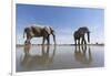 Elephants at Water Hole, Botswana-Paul Souders-Framed Photographic Print