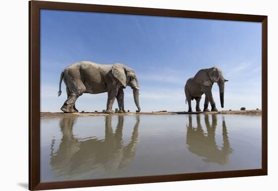 Elephants at Water Hole, Botswana-Paul Souders-Framed Photographic Print