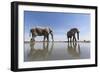 Elephants at Water Hole, Botswana-Paul Souders-Framed Photographic Print