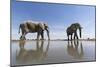 Elephants at Water Hole, Botswana-Paul Souders-Mounted Photographic Print