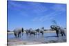 Elephants at Water Hole-Paul Souders-Stretched Canvas