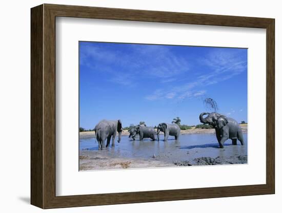 Elephants at Water Hole-Paul Souders-Framed Photographic Print