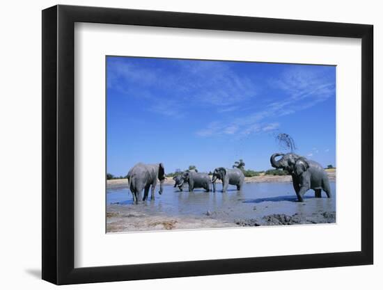 Elephants at Water Hole-Paul Souders-Framed Photographic Print