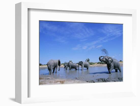 Elephants at Water Hole-Paul Souders-Framed Photographic Print