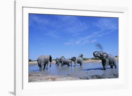 Elephants at Water Hole-Paul Souders-Framed Photographic Print